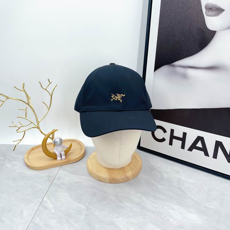 Arcteryx cap dx (634)