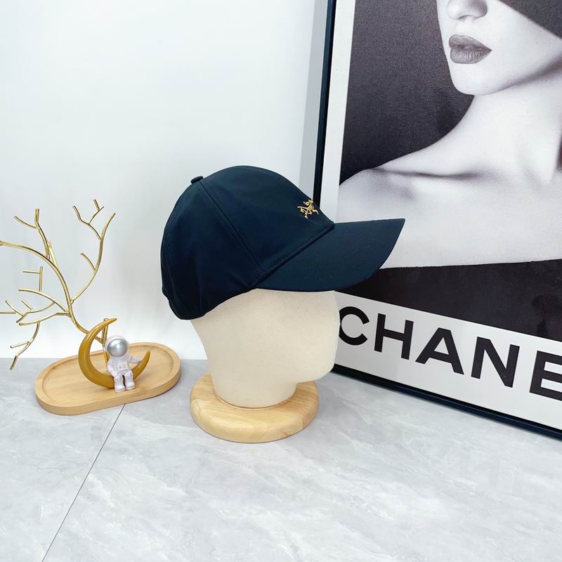 Arcteryx cap dx (635)