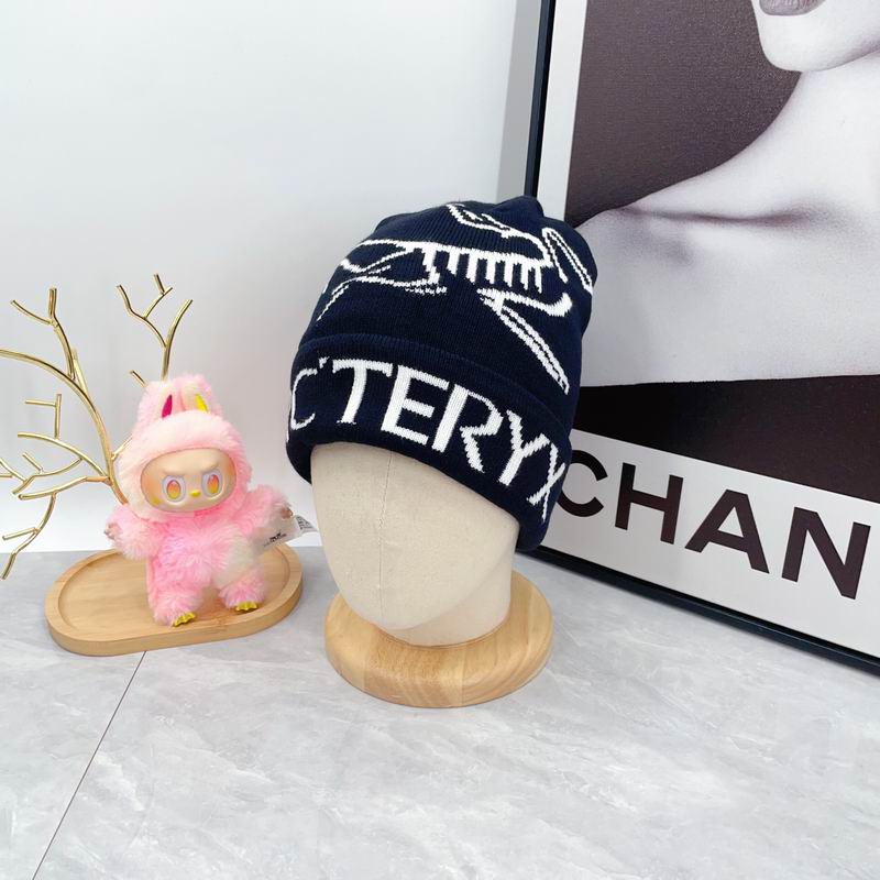 Arcteryx hat dx (1653)