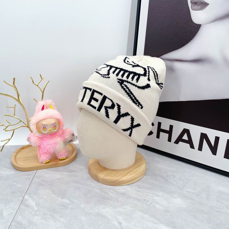 Arcteryx hat dx (1661)