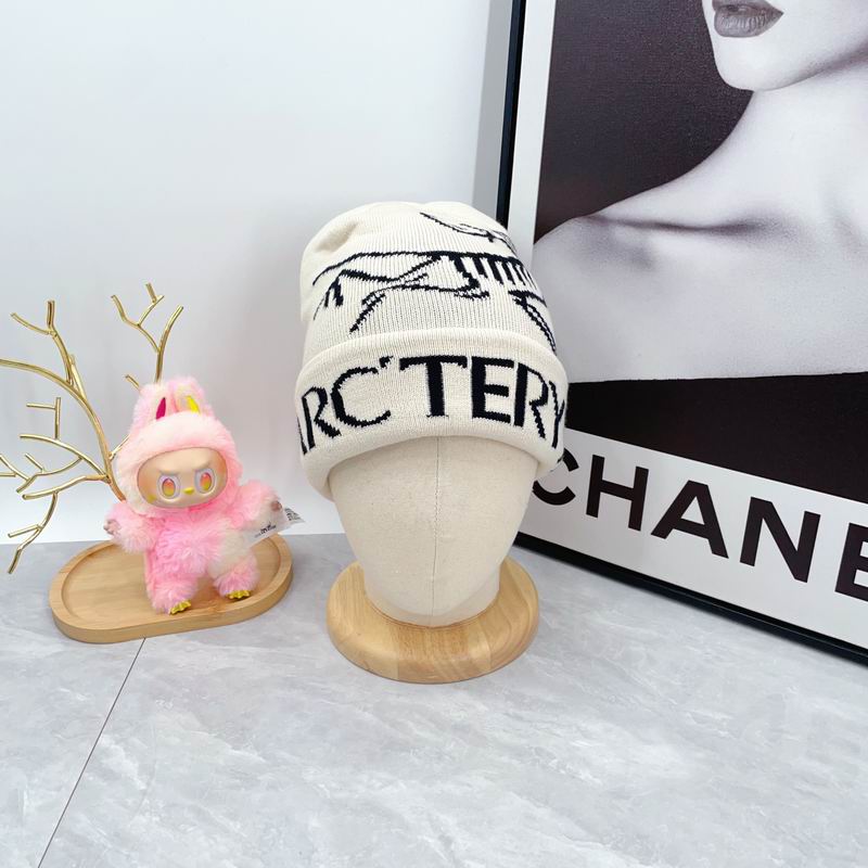 Arcteryx hat dx (1662)