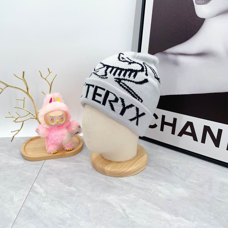 Arcteryx hat dx (1669)