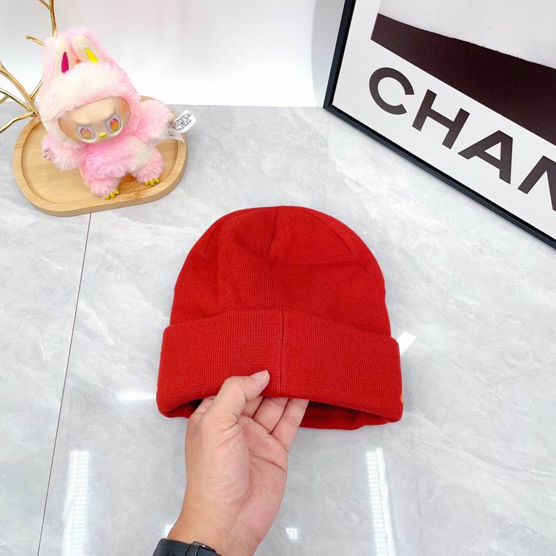 Arcteryx hat dx (1674)