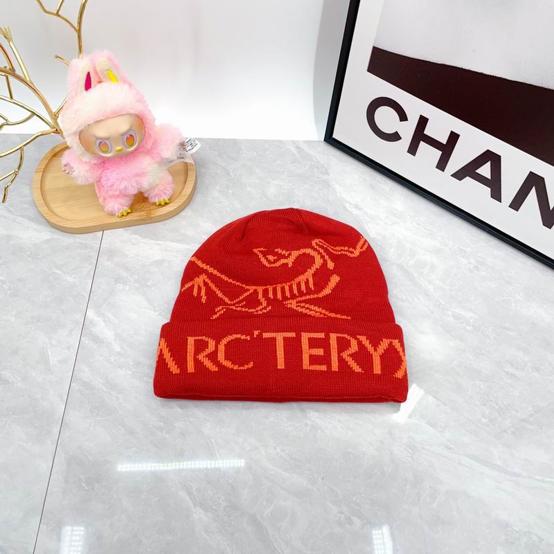 Arcteryx hat dx (1677)