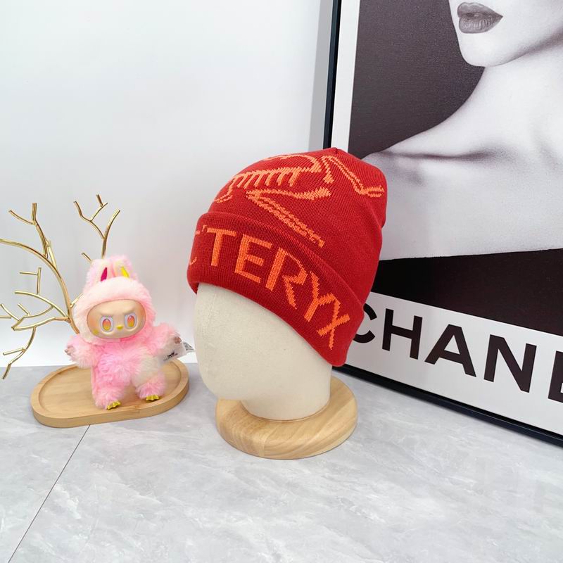 Arcteryx hat dx (1679)