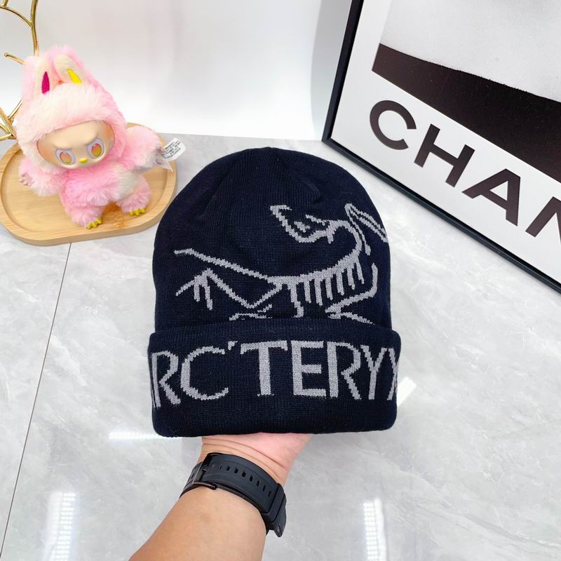 Arcteryx hat dx (1685)