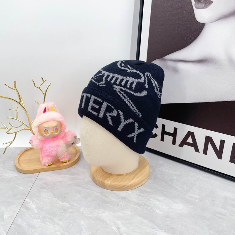 Arcteryx hat dx (1687)