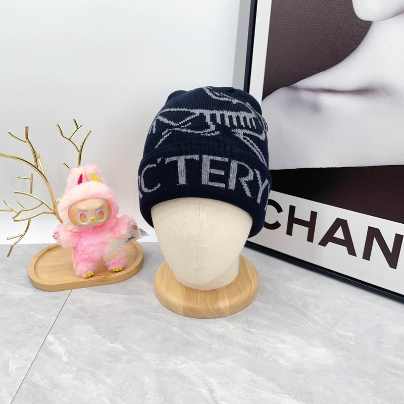 Arcteryx hat dx (1689)