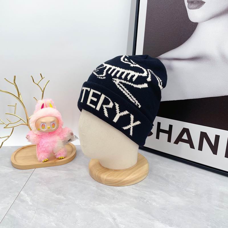 Arcteryx hat dx (1697)