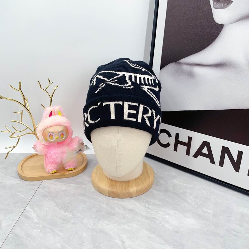 Arcteryx hat dx (1698)