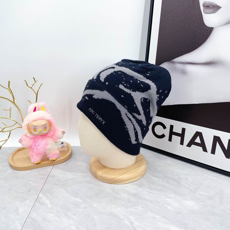 Arcteryx hat dx (1716)