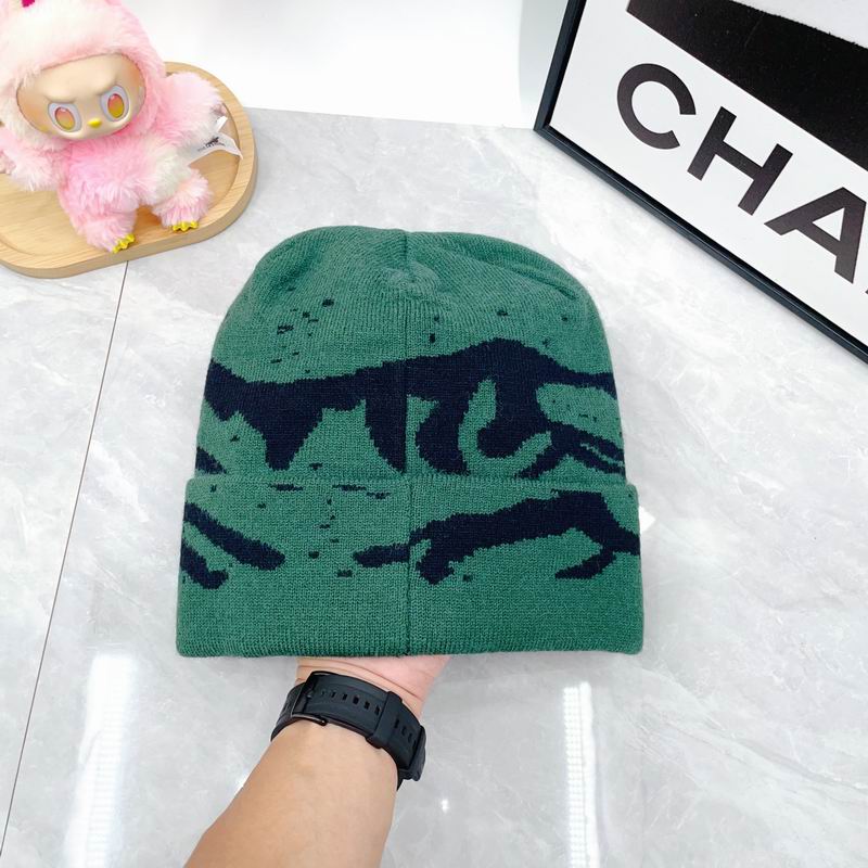 Arcteryx hat dx (1720)