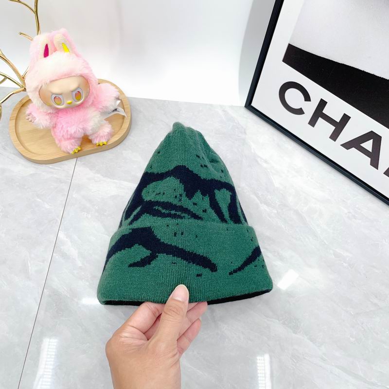 Arcteryx hat dx (1721)