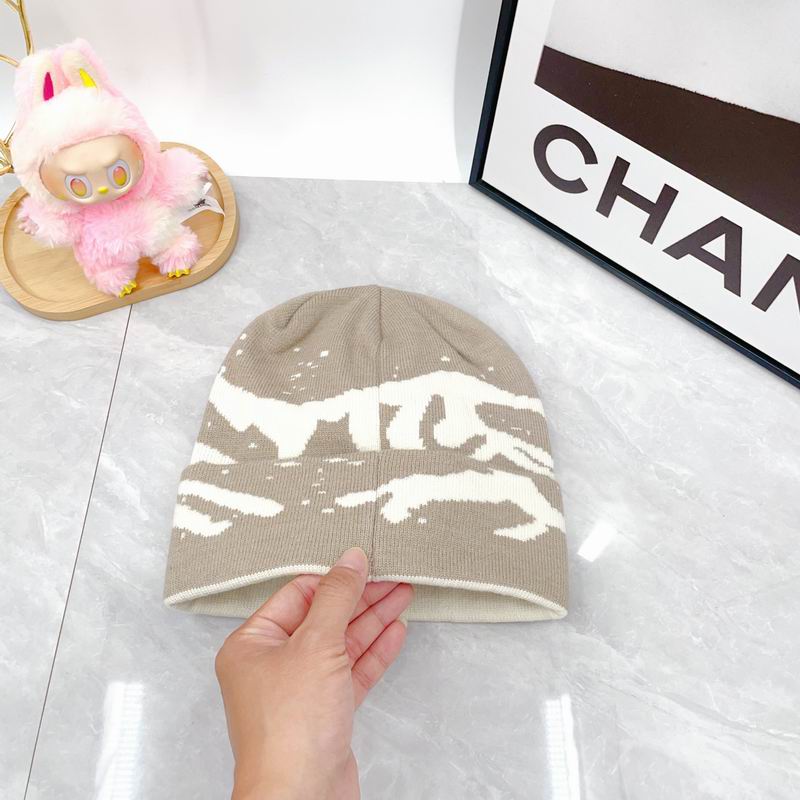 Arcteryx hat dx (1729)