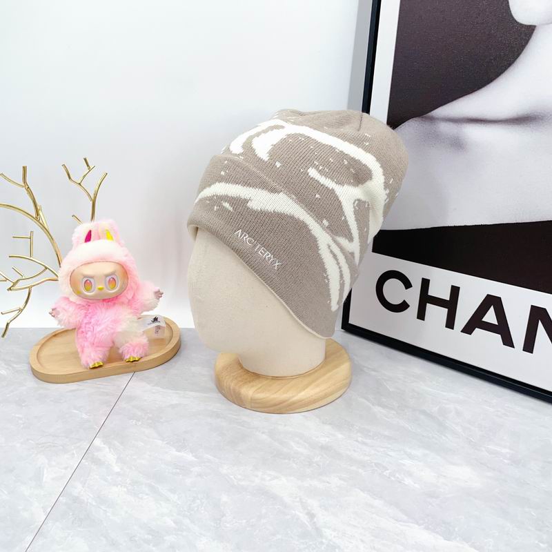 Arcteryx hat dx (1734)