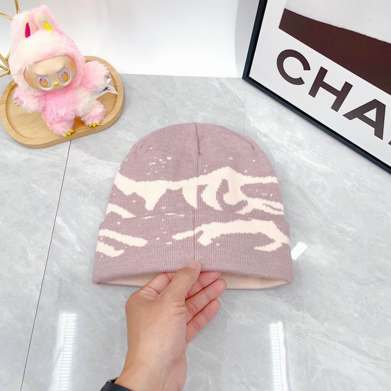 Arcteryx hat dx (1738)