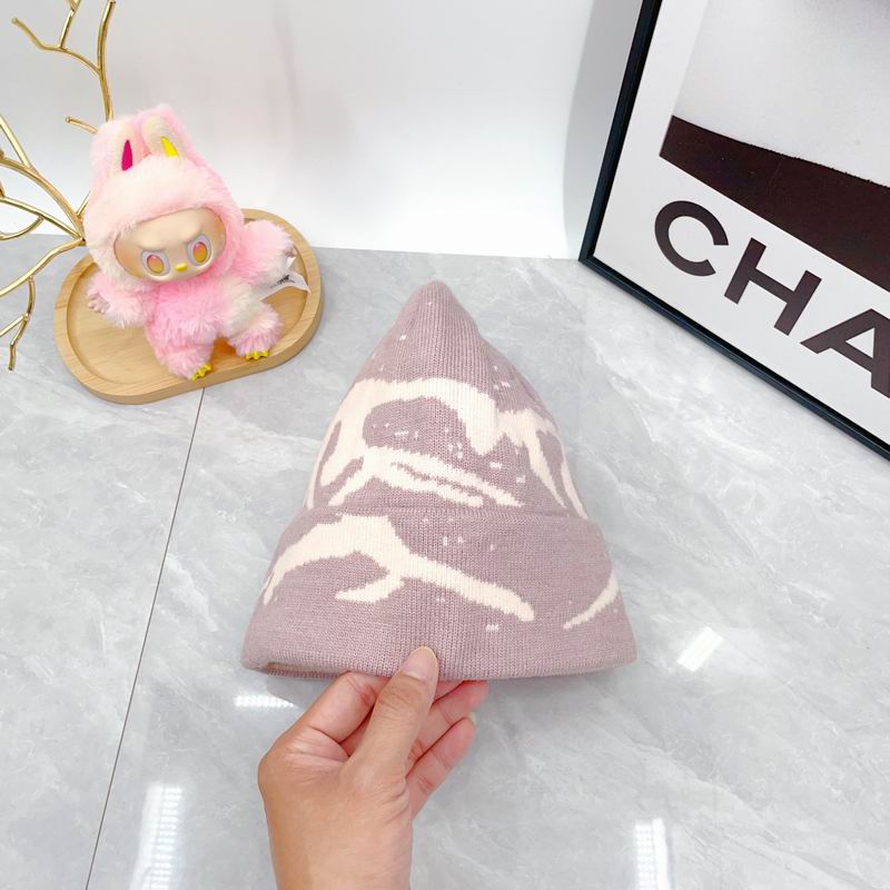 Arcteryx hat dx (1739)