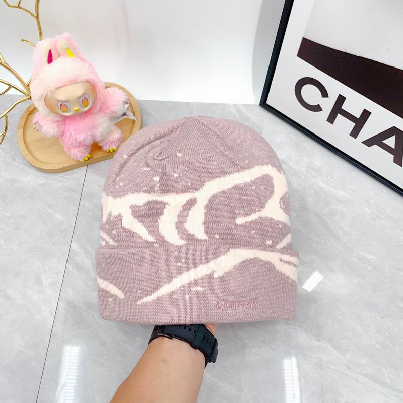 Arcteryx hat dx (1740)