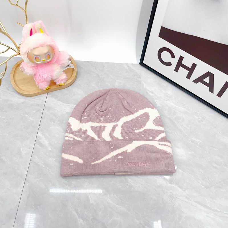 Arcteryx hat dx (1741)