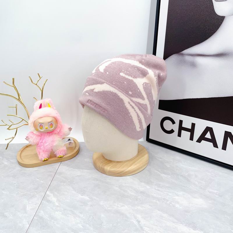 Arcteryx hat dx (1743)