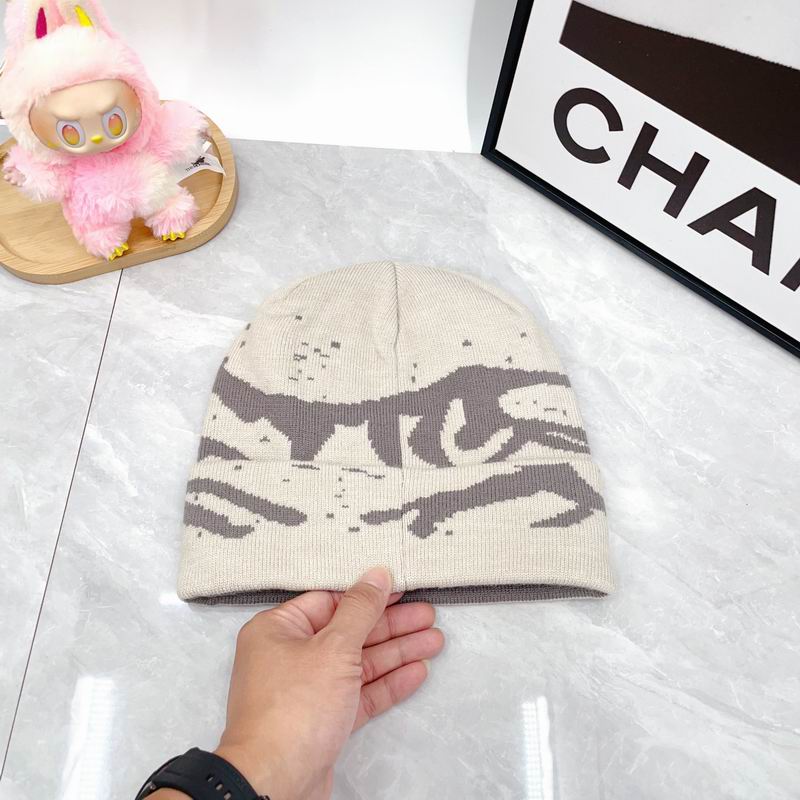 Arcteryx hat dx (1756)