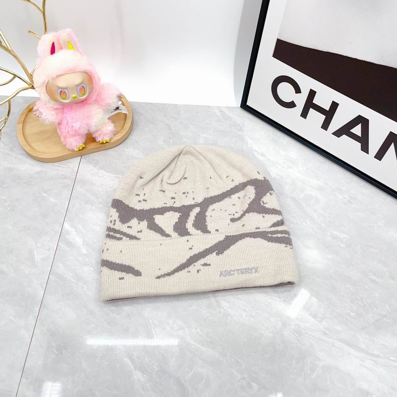 Arcteryx hat dx (1759)