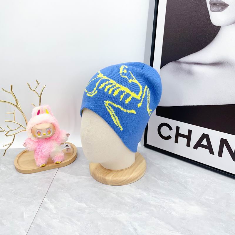 Arcteryx hat dx (1771)