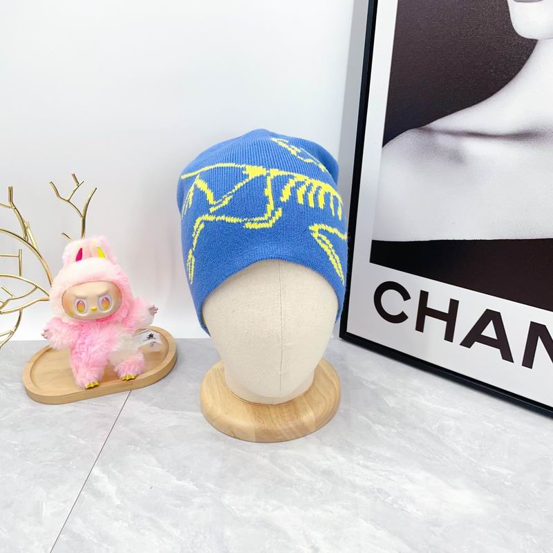 Arcteryx hat dx (1772)