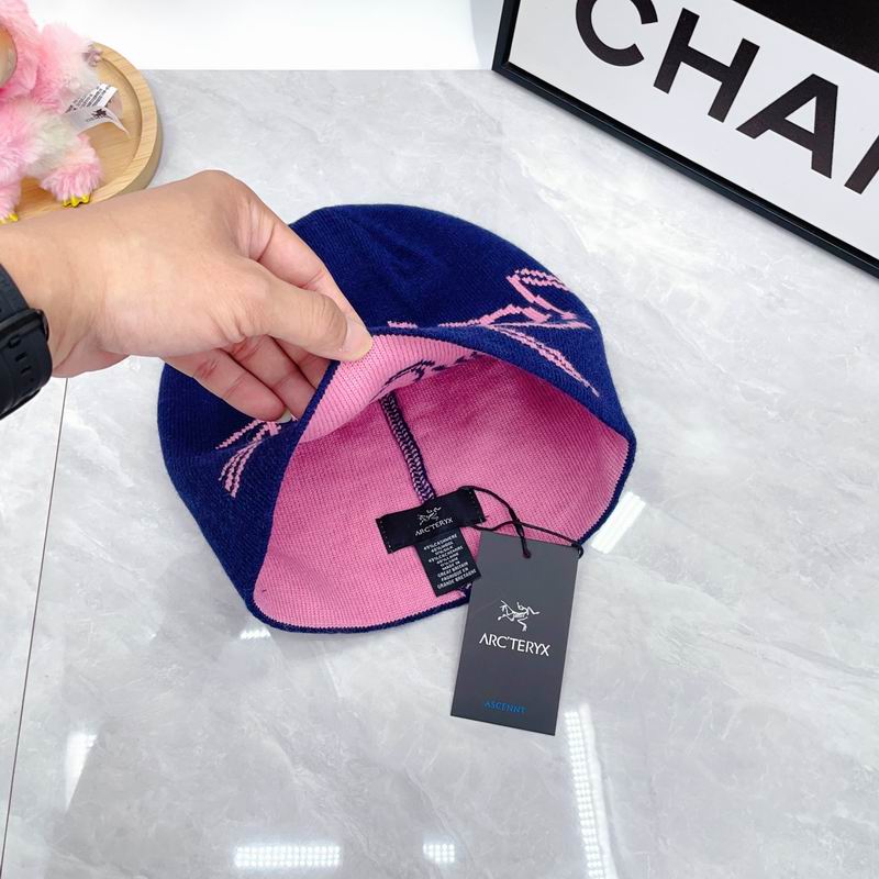 Arcteryx hat dx (1774)