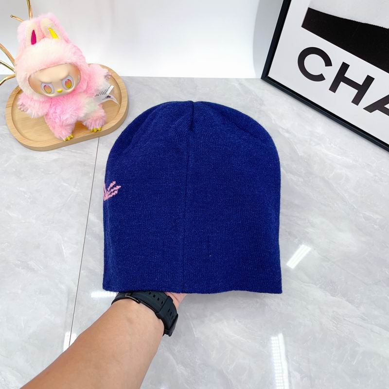 Arcteryx hat dx (1775)