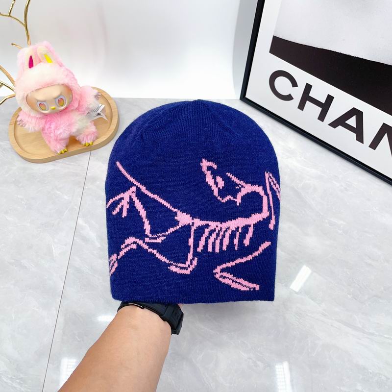 Arcteryx hat dx (1777)