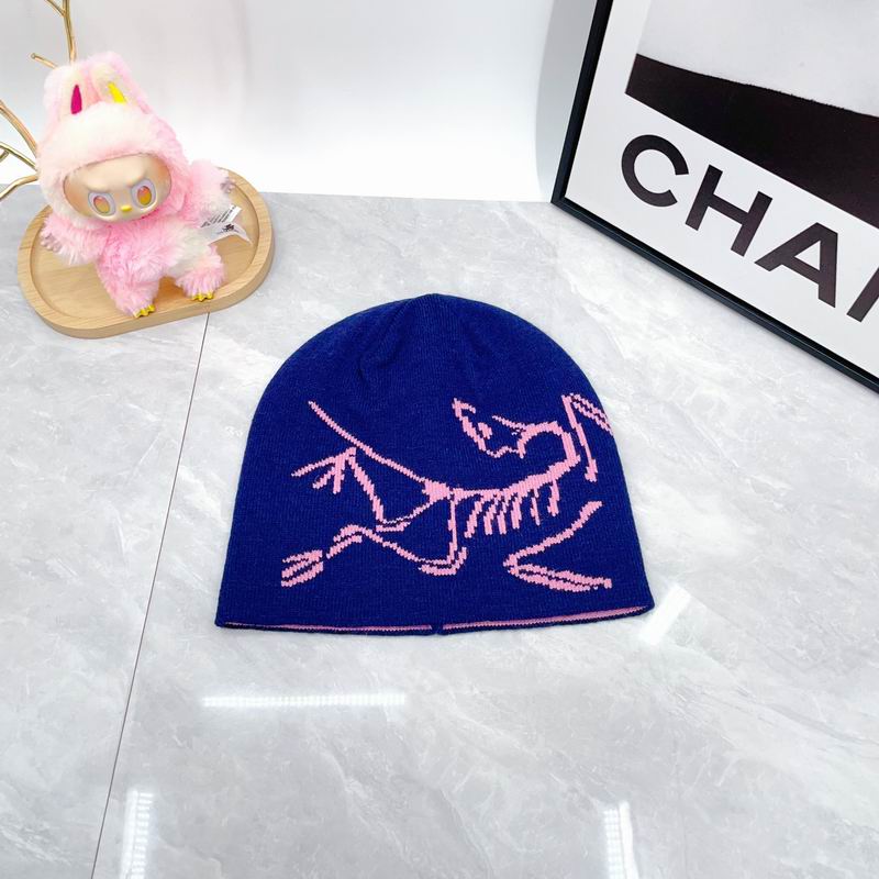 Arcteryx hat dx (1778)