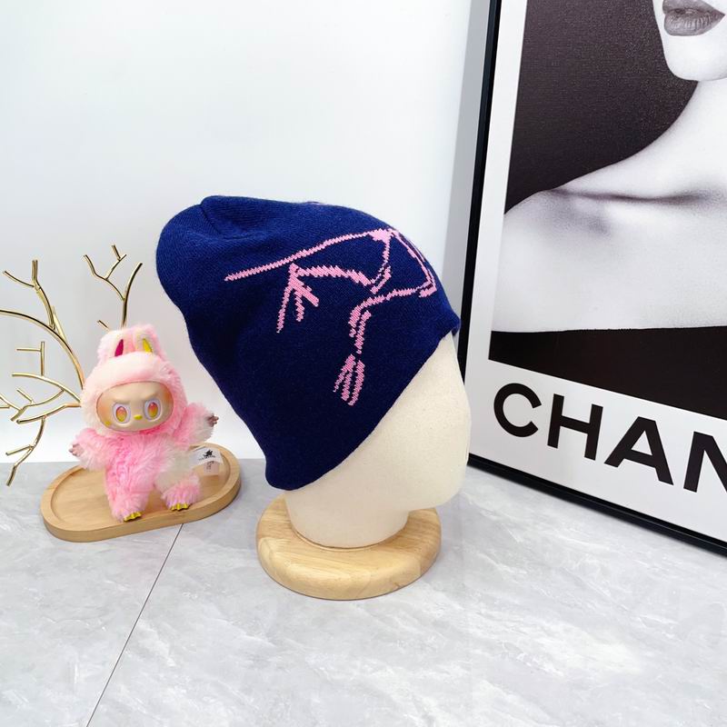 Arcteryx hat dx (1779)