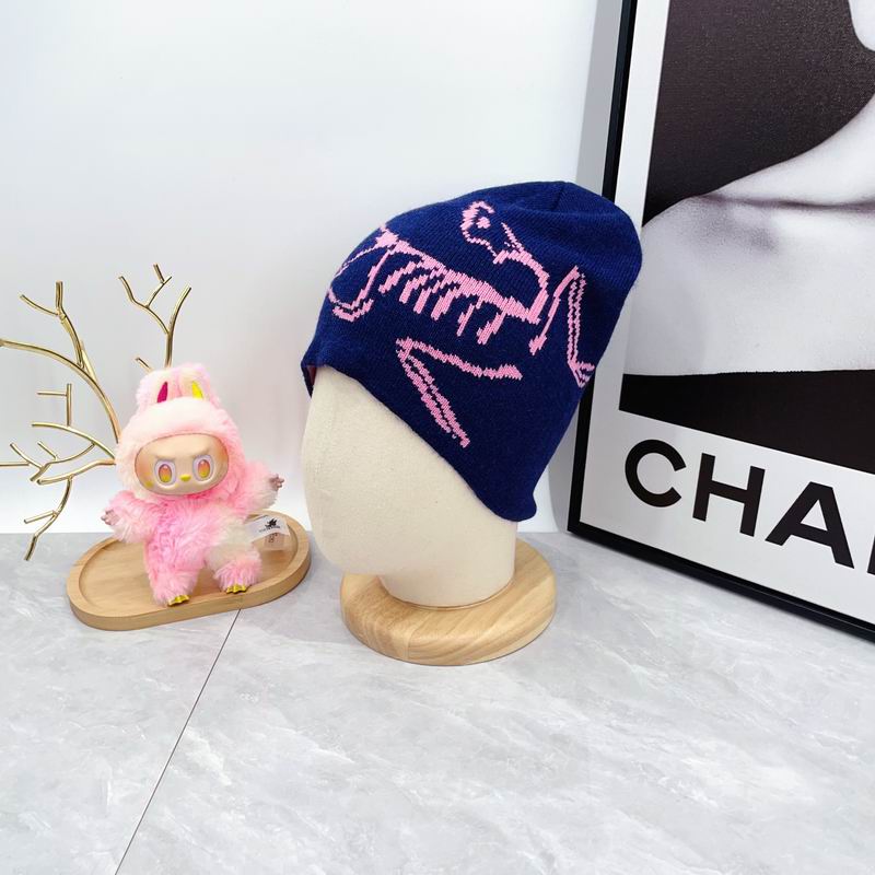 Arcteryx hat dx (1780)