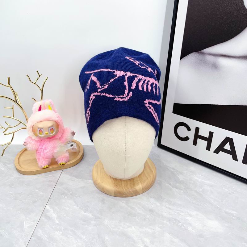 Arcteryx hat dx (1781)