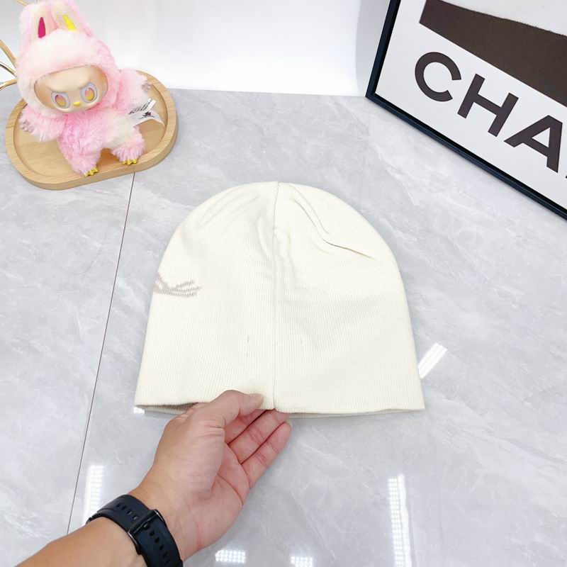 Arcteryx hat dx (1784)