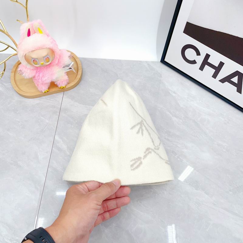 Arcteryx hat dx (1785)