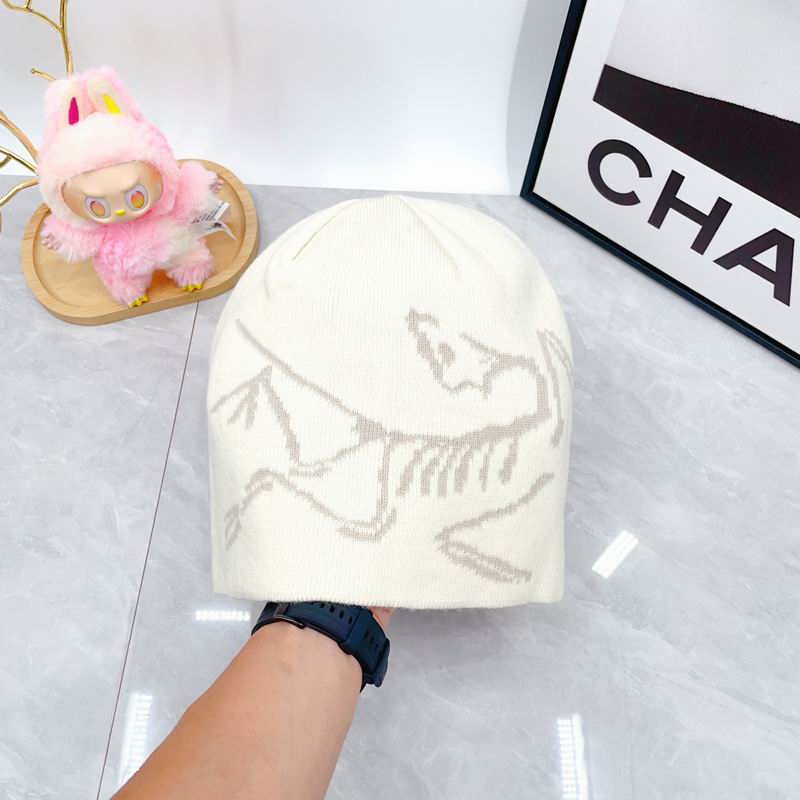 Arcteryx hat dx (1786)