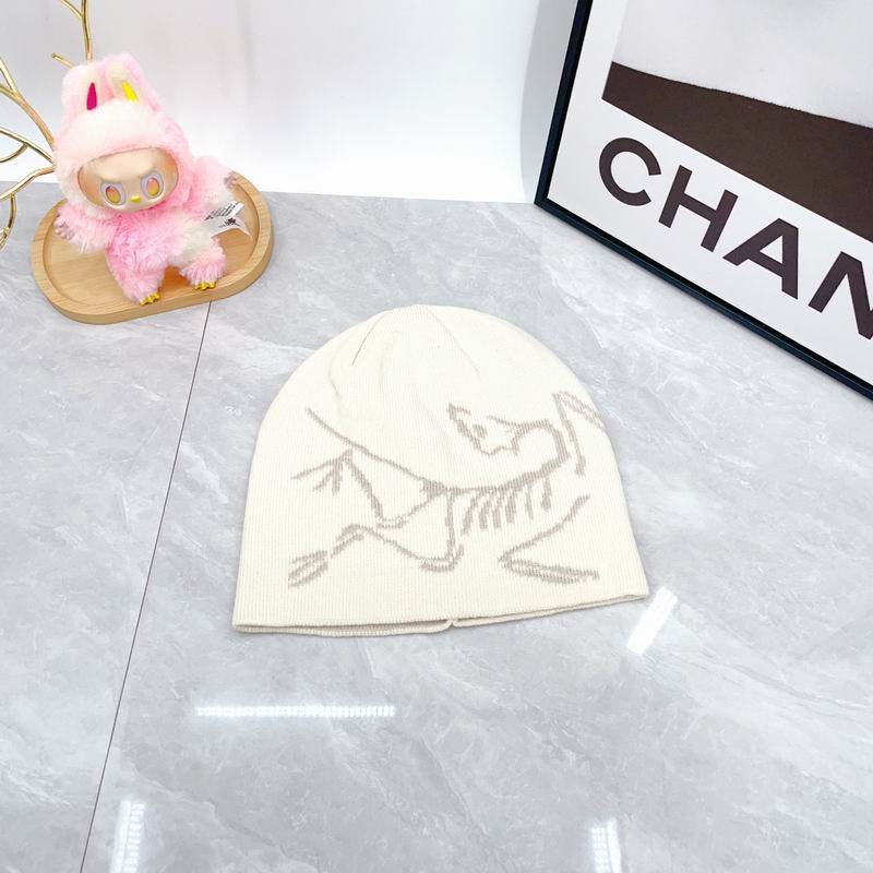 Arcteryx hat dx (1787)