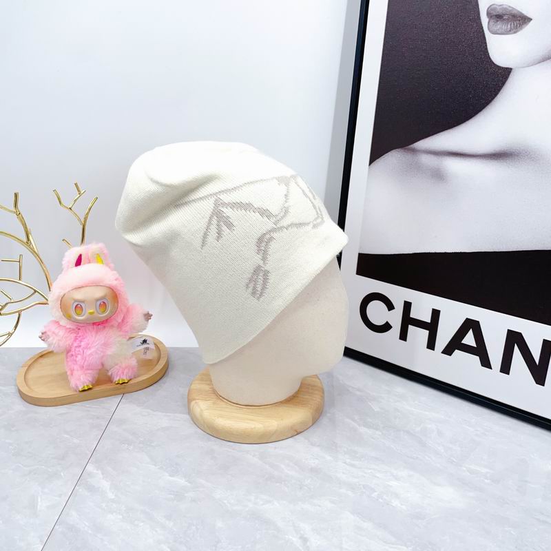 Arcteryx hat dx (1788)