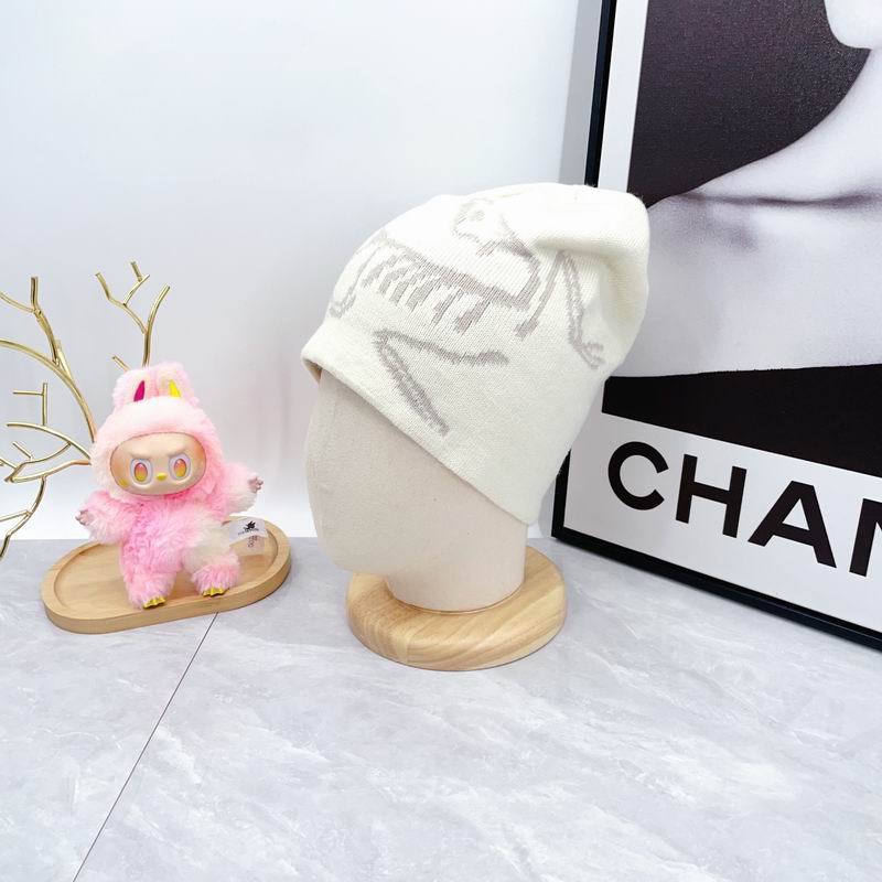 Arcteryx hat dx (1789)