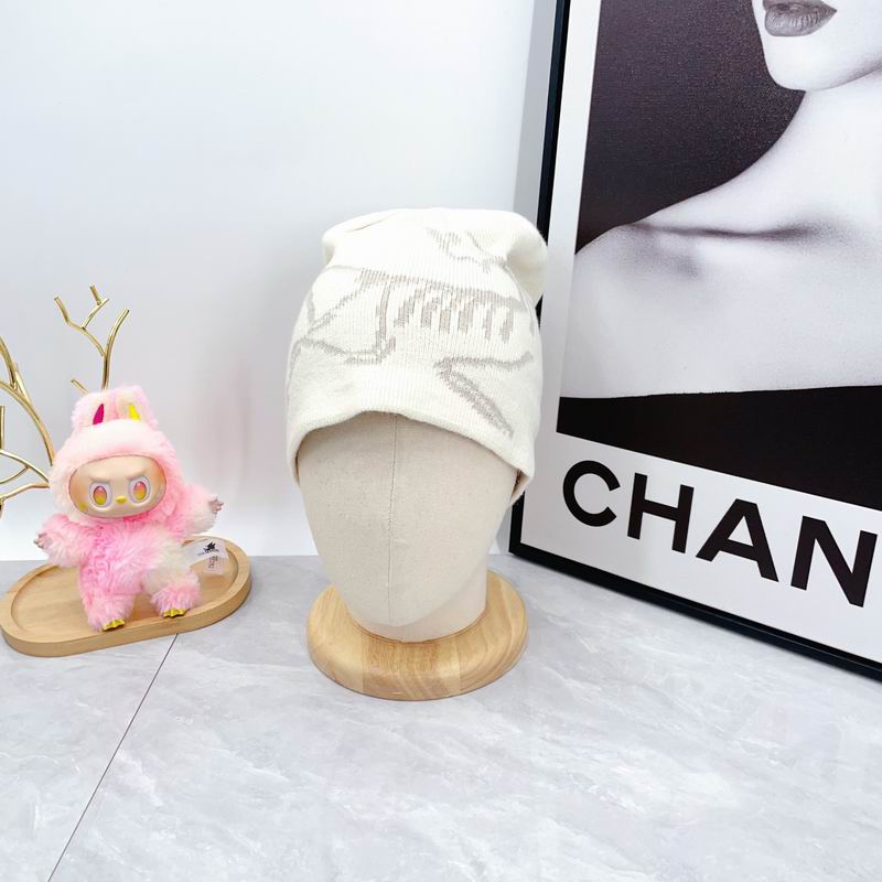 Arcteryx hat dx (1790)