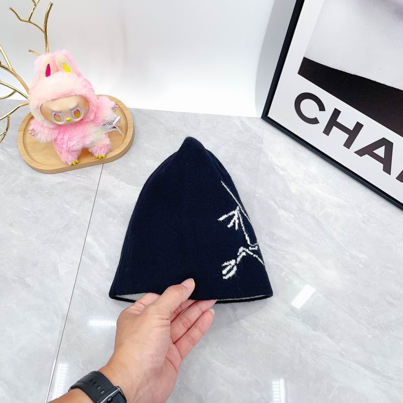 Arcteryx hat dx (1794)