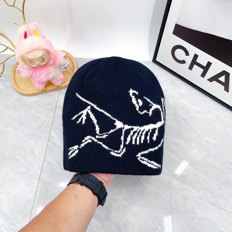 Arcteryx hat dx (1795)