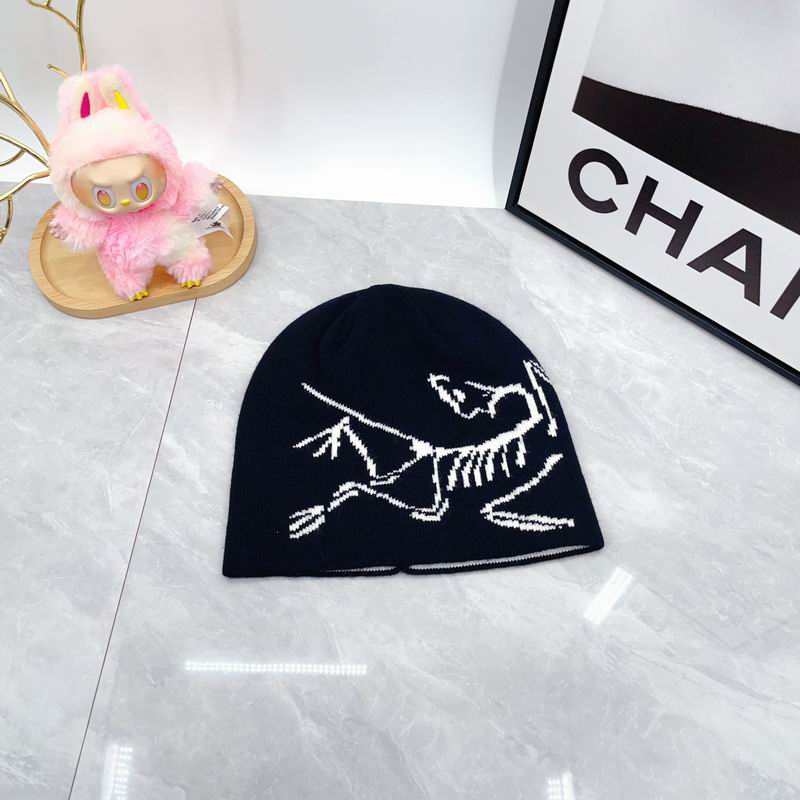 Arcteryx hat dx (1796)