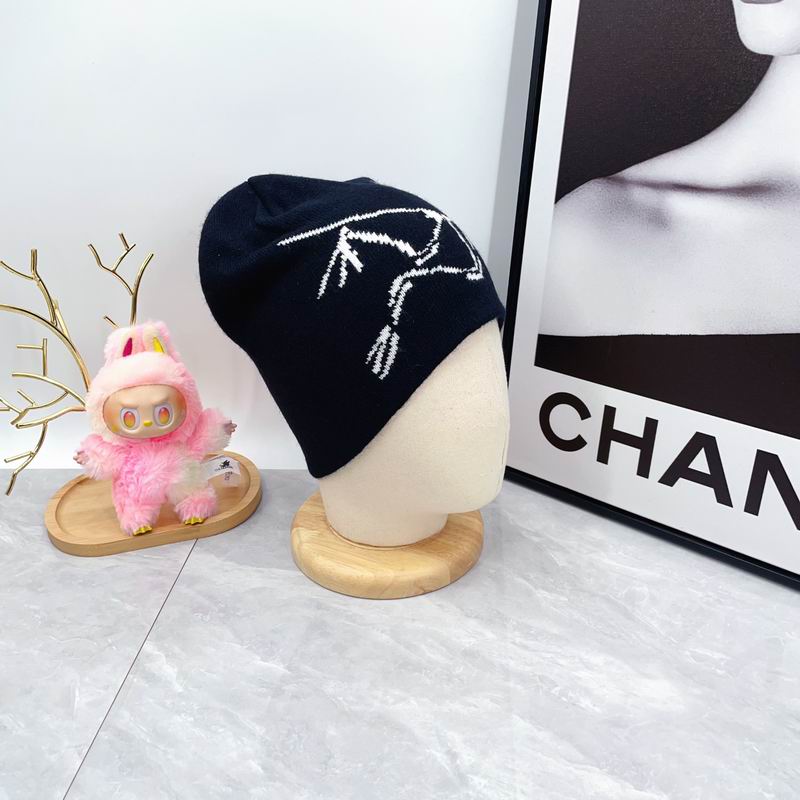 Arcteryx hat dx (1797)