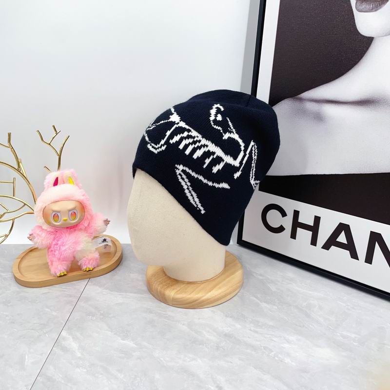 Arcteryx hat dx (1798)