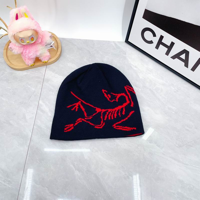 Arcteryx hat dx (1805)