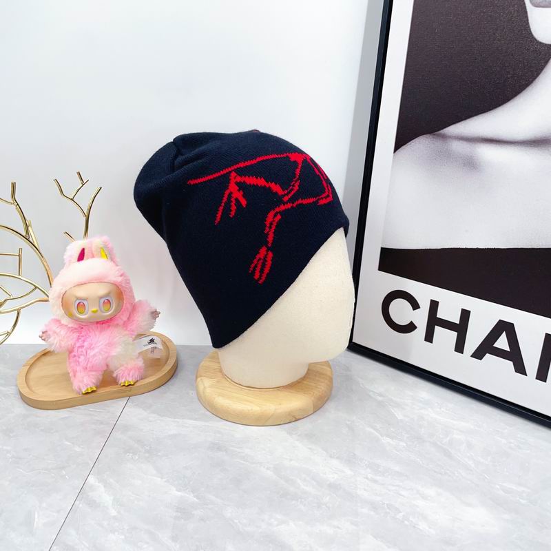 Arcteryx hat dx (1806)