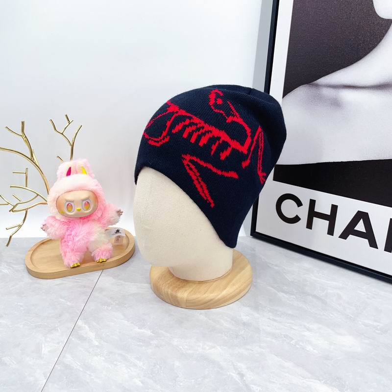 Arcteryx hat dx (1807)